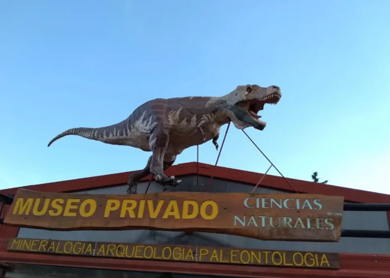 Museo de Mineralogía, Arqueología y Paleontología Julio César Lara: Un viaje al pasado de la Tierra